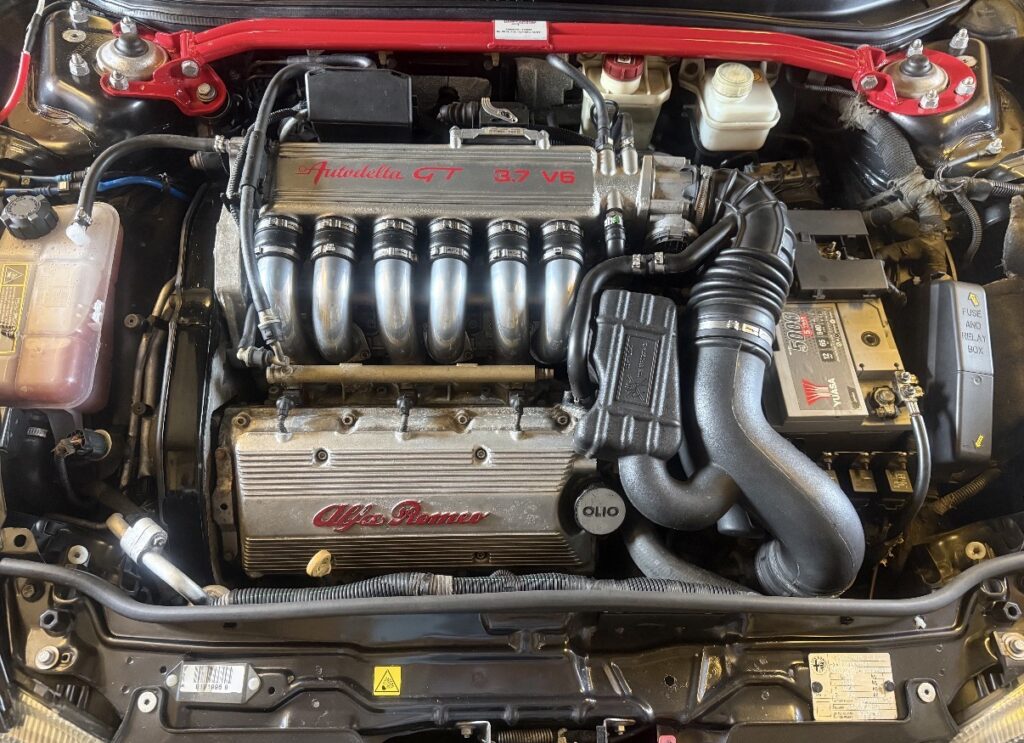 Alfa engine - lovely!