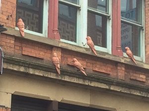 Terracotta Pigeons at Tib Street, Manchester @ Tolfalas.com